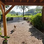 The Walnut Tree Oda ve Kahvaltı 4*