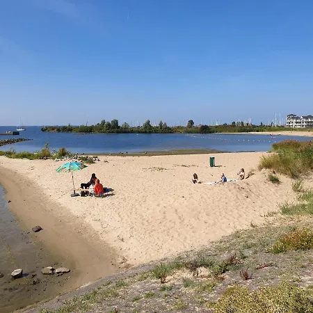 ベッド・アンド・ブレックファスト The Walnut Tree