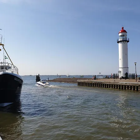 The Walnut Tree ヘレヴートスライス