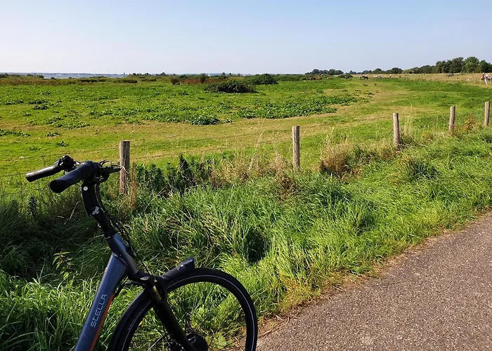 The Walnut Tree 4* Hellevoetsluis